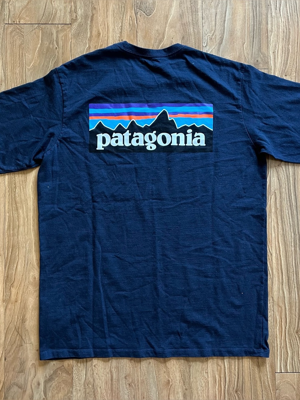 Patagonia P-6 logo t-shirt